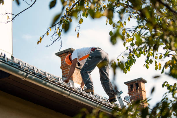 Best Rubber Roofing (EPDM, TPO)  in Lakeview, CA
