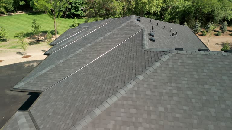 Best Solar Panel Roofing Installation  in Lakeview, CA