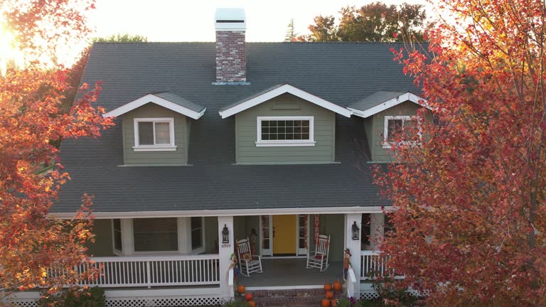 Best Sheet Metal Roofing  in Lakeview, CA