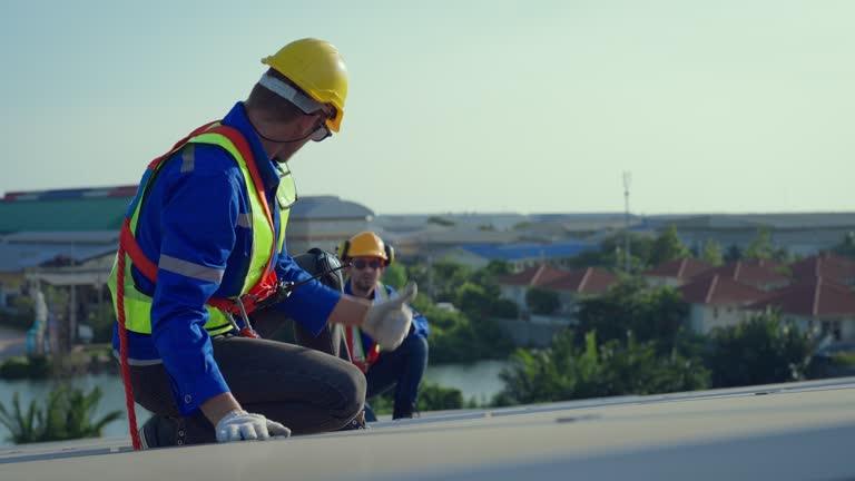 Best Roof Coating and Sealing  in Lakeview, CA