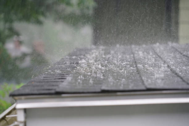 Best Rubber Roofing (EPDM, TPO)  in Lakeview, CA