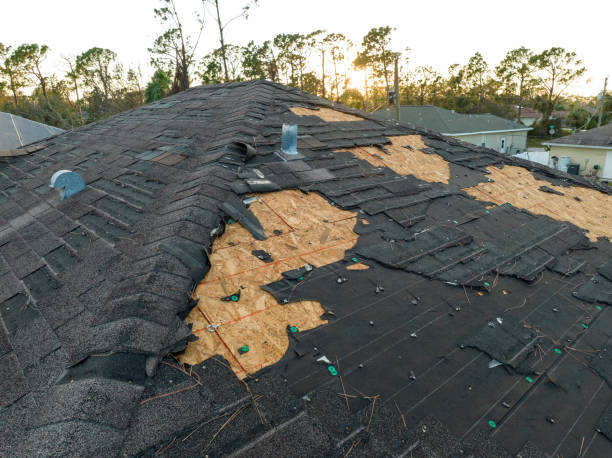 Best Wood Shake Roofing  in Lakeview, CA
