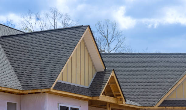 Best Skylight Installation and Repair  in Lakeview, CA