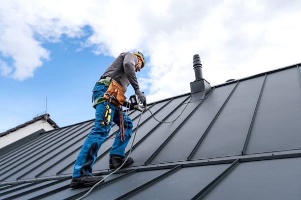Best Steel Roofing  in Lakeview, CA