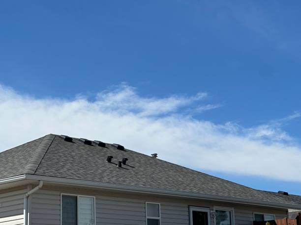 Best Skylights  in Lakeview, CA